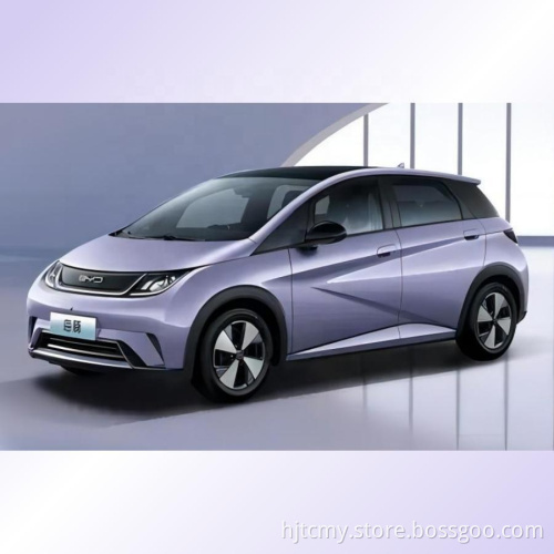 2023 Vendita calda Byd Dolphin Electric Car